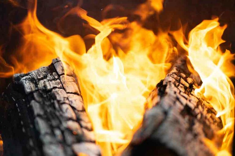 feu de bois